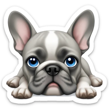 grey french bulldog blue eyes sleep sticker