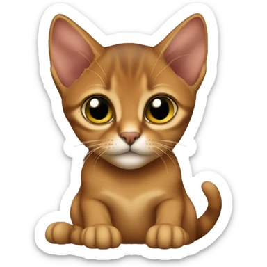Abyssinian kitten sitting sticker
