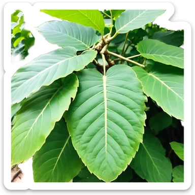 Chú hề đội mũ vuông cao xanh nước biển, cười tươi, mặt dài cằm nhọn sticker