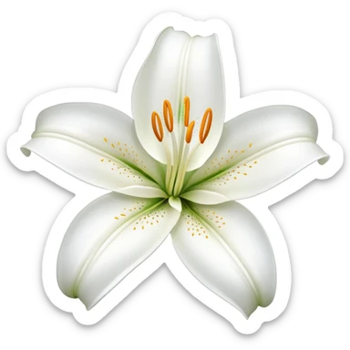 Lily flower sticker