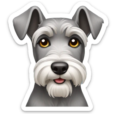 Schnauzer dog with pointed and sharp ears sticker