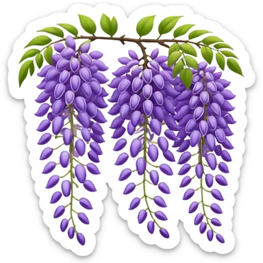 wisteria sticker