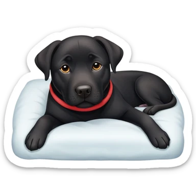 Tugging black lab/amstaff dog into bed sticker