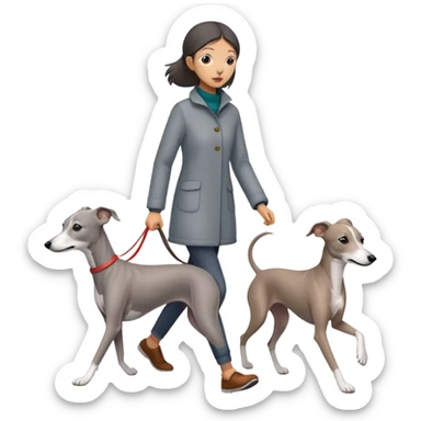 Asian girl walking an all grey Italian greyhound with no white nose, completely grey dog sticker