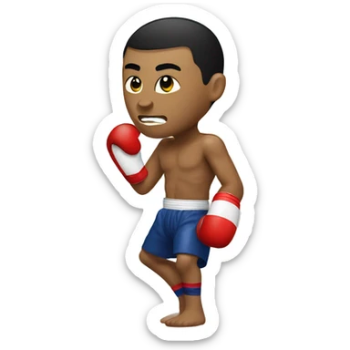 Muay thai sticker