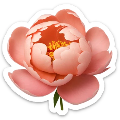 Salmon color Peony flower sticker