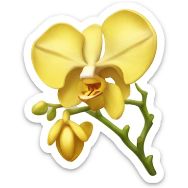 Yellow orchid sticker