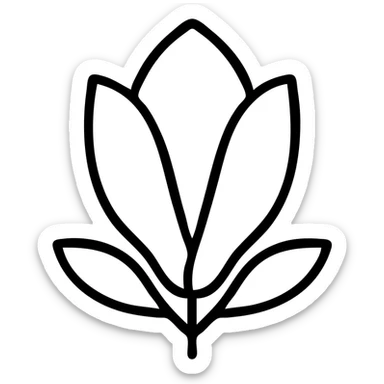 minimalist top-down view of a magnolia flower bud with a mix of white and pink petals, fully visible against a plain white background, no extra details sticker