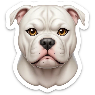 Cinematic Noble White American Bulldog Portrait Emoji, Poised and regal, with a powerful, muscular build and a sleek, well-groomed pure white coat, deep-set soulful brown eyes, Simplified yet sharp and sophisticated features, highly detailed, glowing with a soft, dignified glow, high shine, intelligent and loyal, stylized with an air of strength, focused and attentive, soft glowing outline, capturing the essence of a watchful and confident guardian, so majestic it feels as though it could step out of the screen with effortless authority! sticker