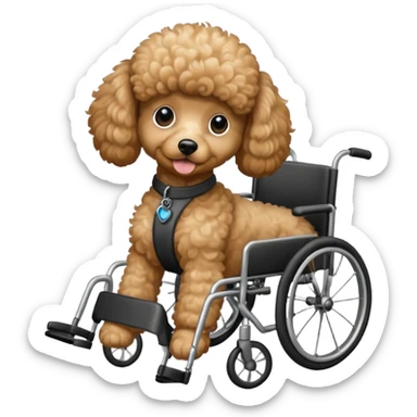 Tan Poodle puppy in wheelchair  sticker