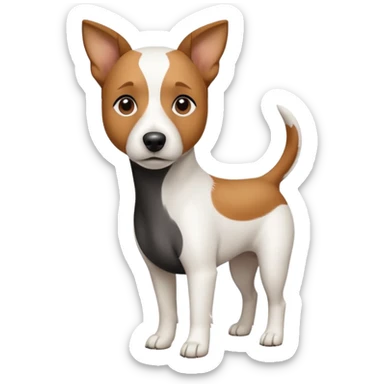 a full body white jack russel looking dog the size of a kelpie with light brown ears and a light brown patch on one eye and a large snout sticker