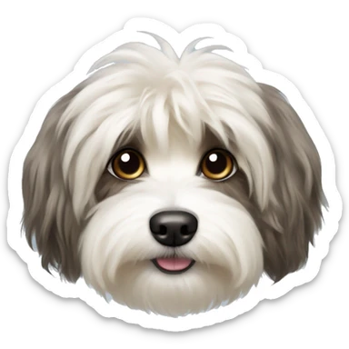 havanese silk dog sticker