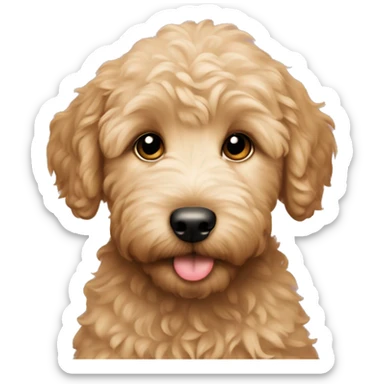 golden doodle puppy  sticker