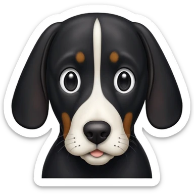Black hound dog with white snout and white chest sticker