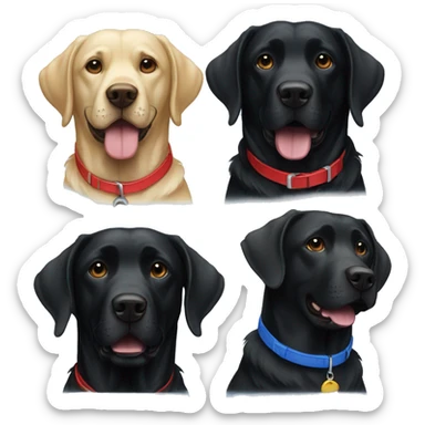 two black labradors together. one with red collar. one with blue collar. sticker