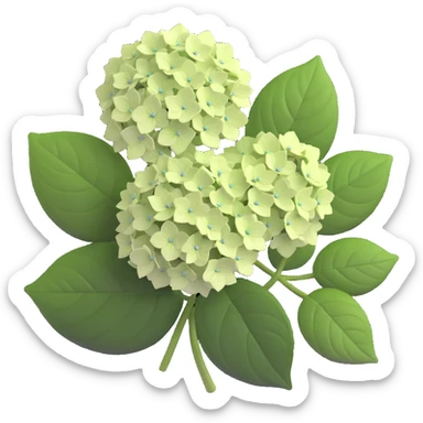 Charming hydrangea flower with kawaii style, soft rounded flower clusters in pretty pastel colors, and cute green leaves sticker