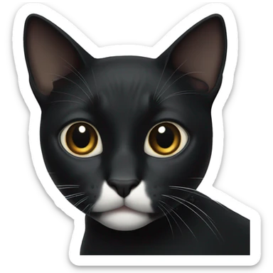 black cat with white neck and nose  sticker