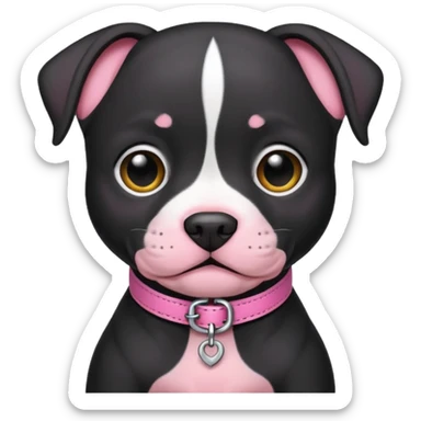 Black pitbull puppy that has a pink collar sticker