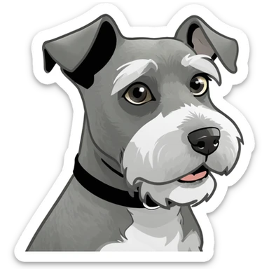 Grey mini schnauzer  sticker