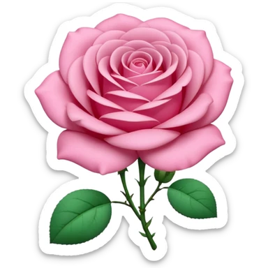 A 3D cartoon rose-pink women’s top with short sleeves, soft fabric texture, gentle lighting, isolated on plain background.negative: rose flower. sticker