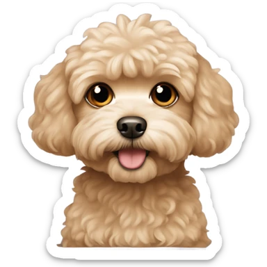 light brown maltipoo dog sticker