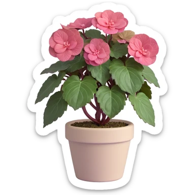 Begonia Rex foliage plant with only greenish-purple spiral patterned leaves in a beige pot, no flowers sticker