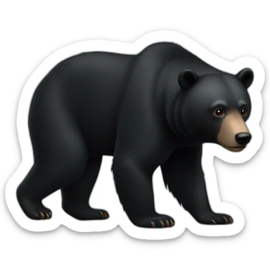 Black Bear full body sticker