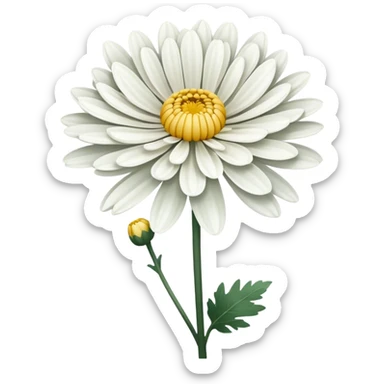 single Chrysanthemum flower, straight stem sticker