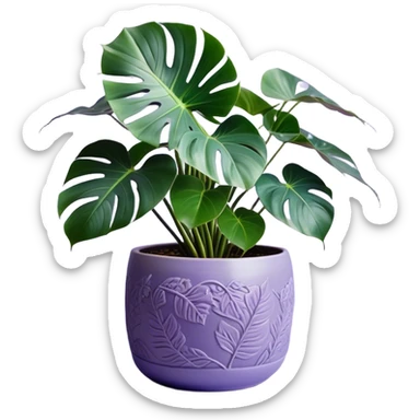 A stunning monstera plant with deep violet-green leaves, each leaf elegantly veined with subtle shades of purple, creating an ethereal glow. The plant is flourishing in a beautifully crafted lavender ceramic pot with intricate embossed floral patterns. The background features a softly blurred, moody violet gradient, enhancing the plant’s lush aesthetic. Delicate strands of ivy and tiny lavender blossoms cascade around the pot, adding depth and harmony. Soft, diffused lighting casts a gentle glow, emphasizing the plant’s unique coloration and creating a dreamy, artistic composition. sticker