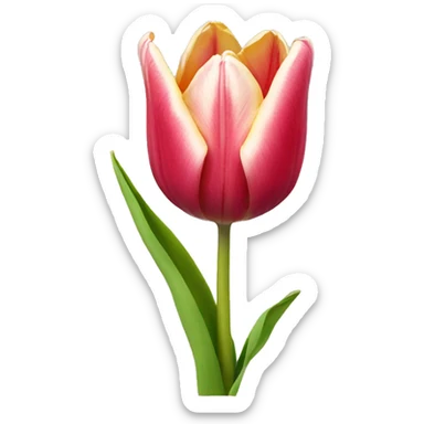 Tulip sticker