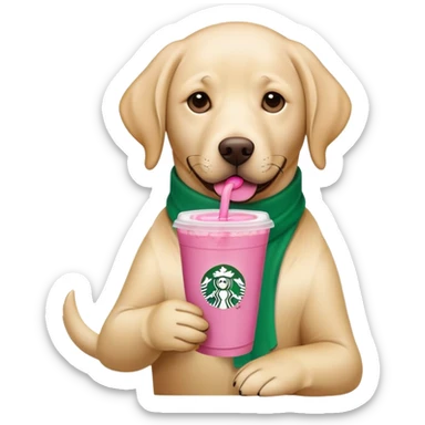Labrador drinking a Starbucks pink drink sticker