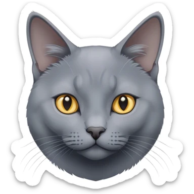Russian Blue cat, calm and mysterious sticker