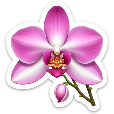 exquisite-phalaenopsis-moth-orchid-with-pure-white-petals-and-subtle-pink-center sticker
