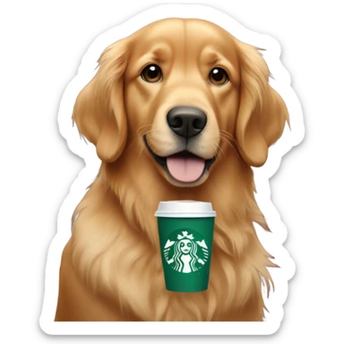 Red Golden retriever with starbucks sticker