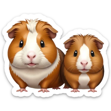 guinea pigs sticker