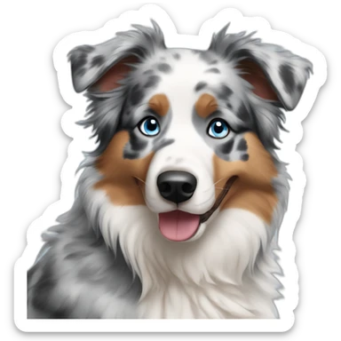 Blue Merle Australian Shepherd with Blue Eyes sticker