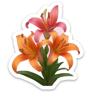 pink and orange lilies  sticker