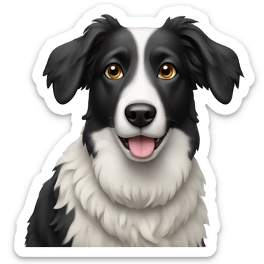 Black and white sheep dog sticker