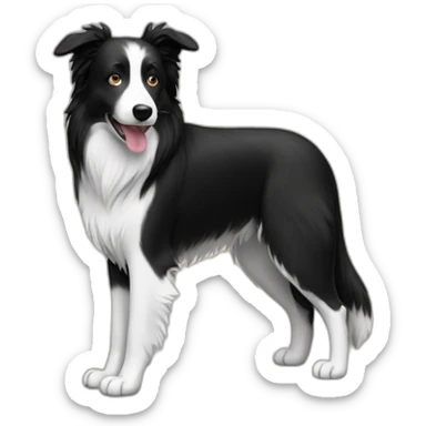 a bordercollie with very short paws sticker