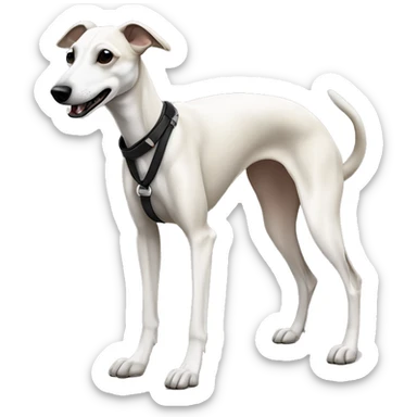 a beige whippet full body with his foot white color and a leash going out of frame, with a dark snout, black and white mouth patchy, White mask on the muzzle sticker