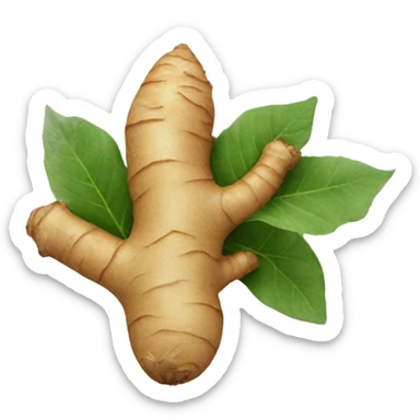 ginger root  sticker