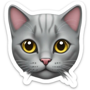 Grey British cat with a heart sticker