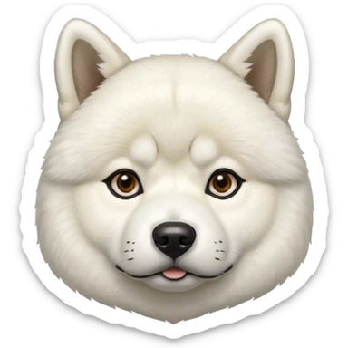WhiteAmerican Akita  sticker