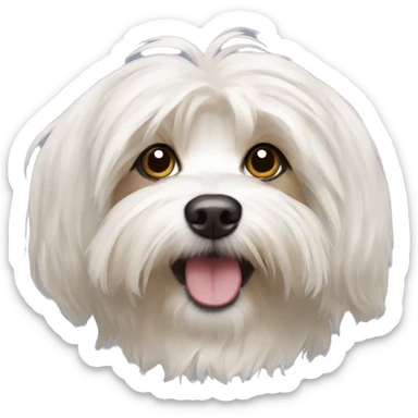 Havanese sticker