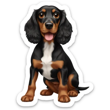 Cocker spaniel mixed with dachshund sticker