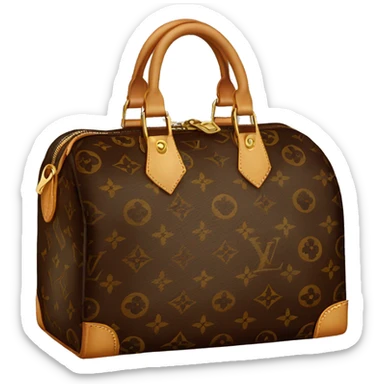 Louis vuitton bag sticker