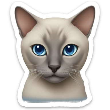 Blue mink tonkinese cat sticker