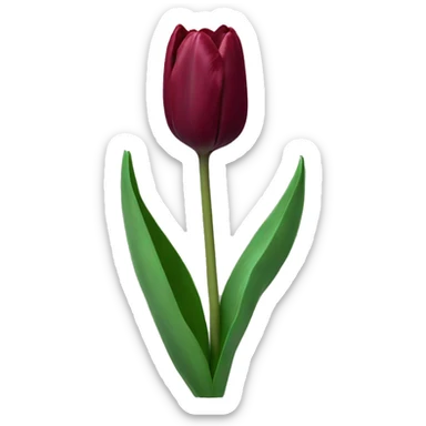 Single burgundy tulip sticker
