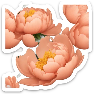 Salmon color Peony flower sticker
