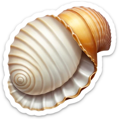 Sea shell sticker